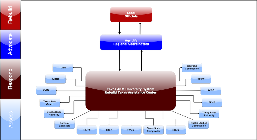 Tdem Org Chart