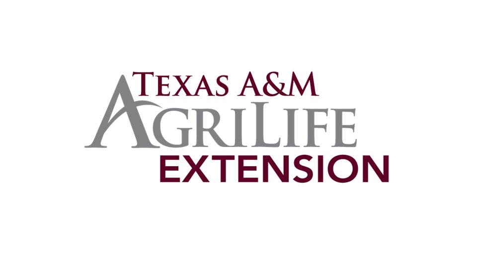 TAMU AgriLife Extension Logo