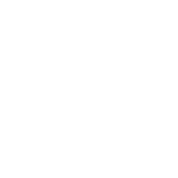 TAMU System seal logo in white