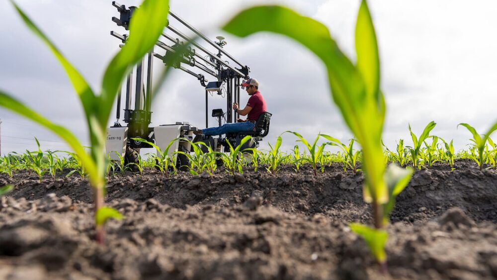 Texas A&M AgriLife Research