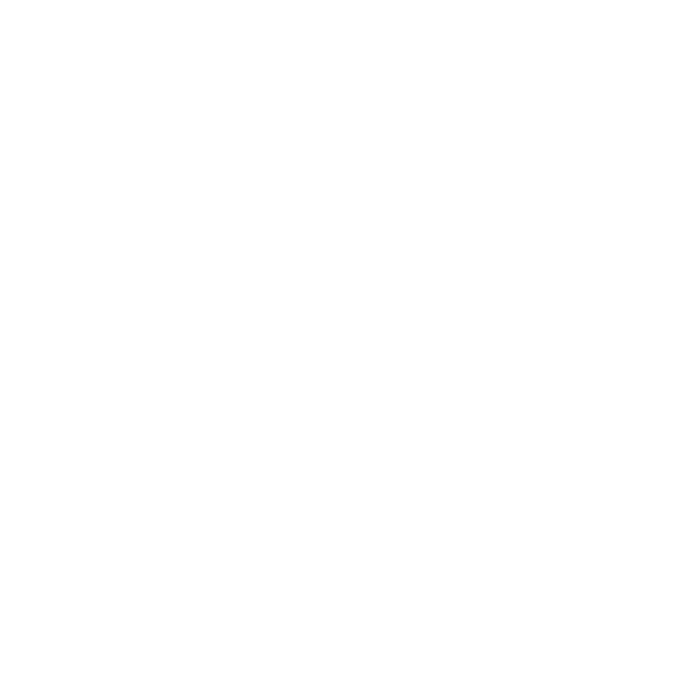 Texas A&M University System - Seal Logo