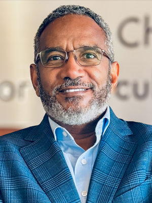 Amir Ibrahim