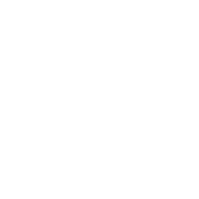 TAMU System logo - white seal