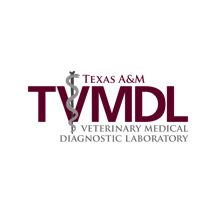 TVMDL