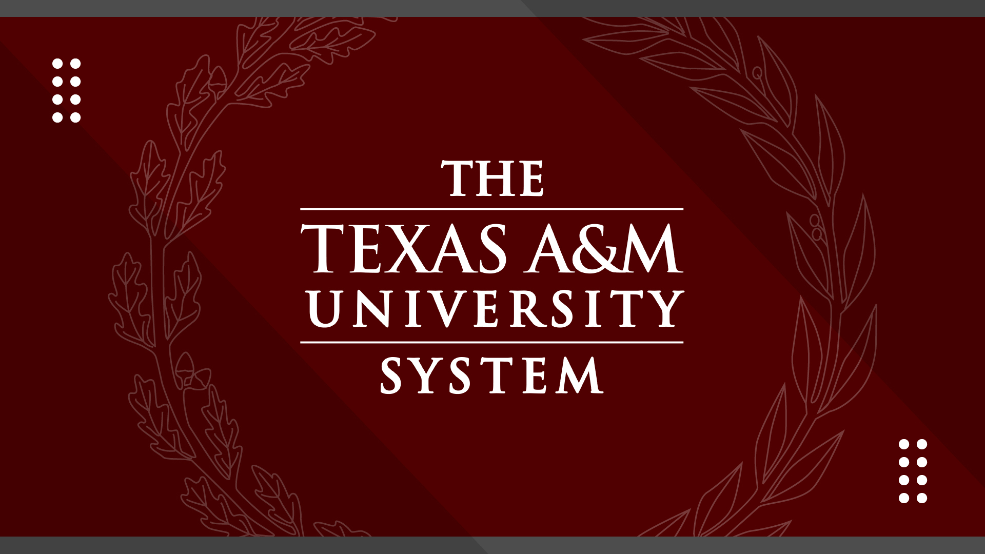 The Texas A&M University System logo on a maroon background